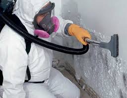 Reliable Hurstbourne Acres, KY Mold Removal Solutions